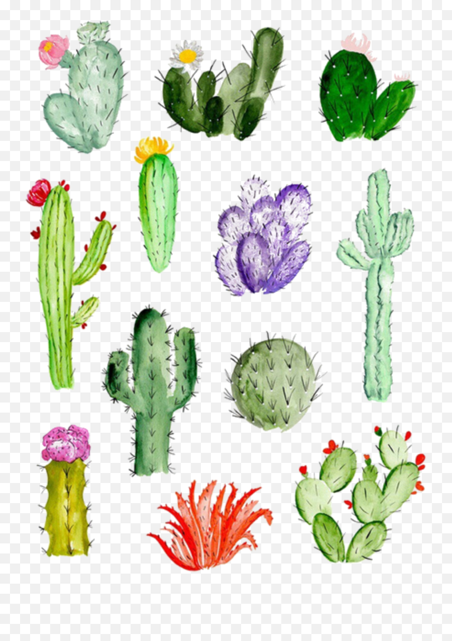 Ftestickers Watercolor Cactus Cacti - Easy Watercolor Paintings Cactus Png,Watercolor Cactus Png