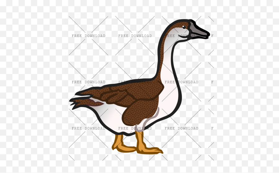 Duck Goose Swan Bird Png Image With - Transparent Goose Clip Art,Goose Transparent