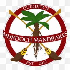 Murdoch Mandrakes Western Australian Quidditch Association - Language png