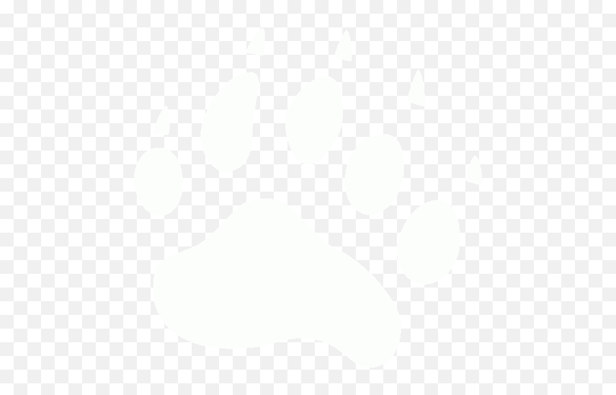 White Footprints Bear Icon - Free White Footprint Icons Bear Footprint White Icon Png,Snow Bear Icon Png