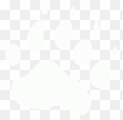White Footprints Bear Icon - Free white icons Bear Footprint Icon png