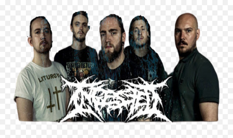 Ingested Theaudiodbcom Png Despised Icon Bass