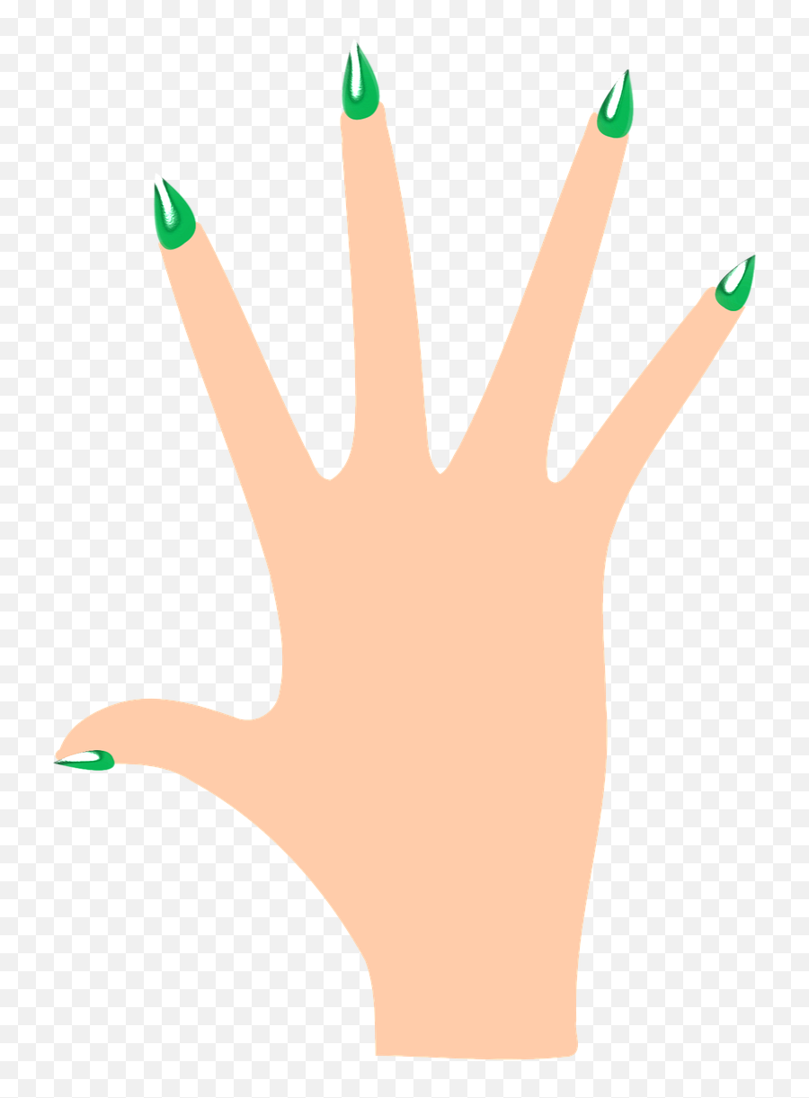 Nail Polish Manicure The Hand Png