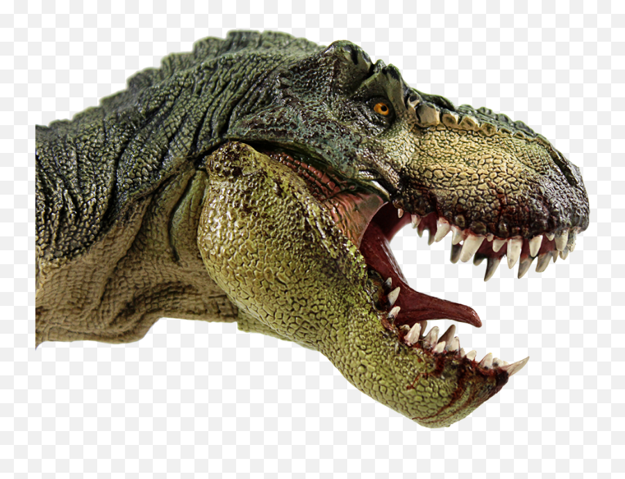 Jurassic Grill Kettering The First Dinosaur Theme - T Rex Head Profile Png,Dinosaur Transparent Background