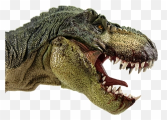 Jurassic Grill Kettering The First Dinosaur Theme - T Rex Head Profile Png,Dinosaur Transparent Background