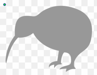 Grey Kiwi Bird Png Clip Arts For Web - Clipart