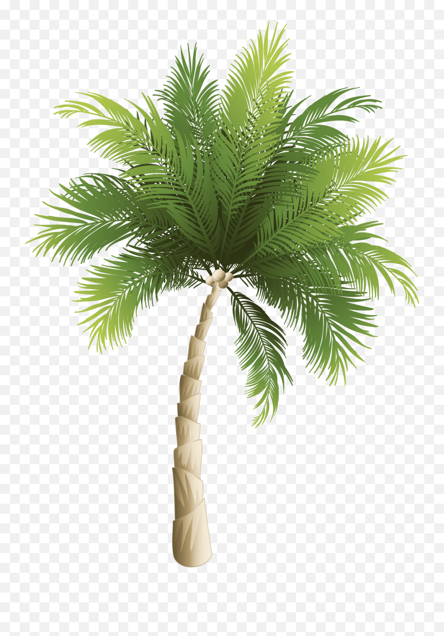 Hojas Vector Palma Transparent Png - Clipart Palm Trees Png,Palma Png