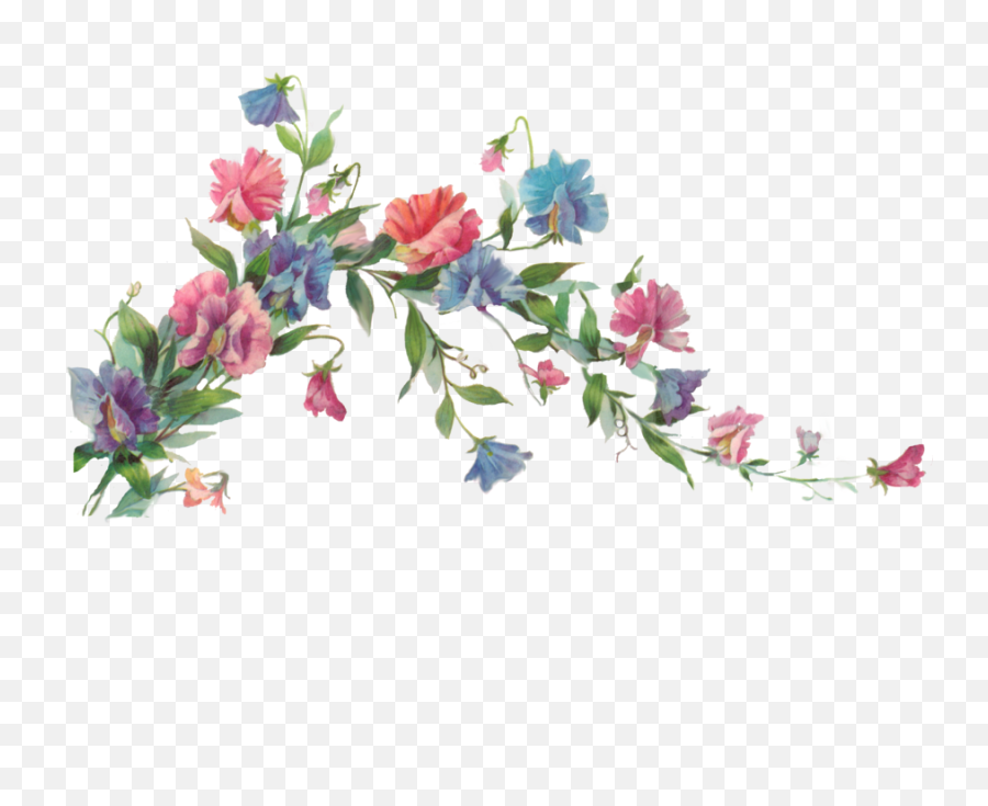 Flowers Png Tumblr - Vintage Flowers Tumblr Png Watercolor Transparent Flower Vine Png,Wild Flowers Png