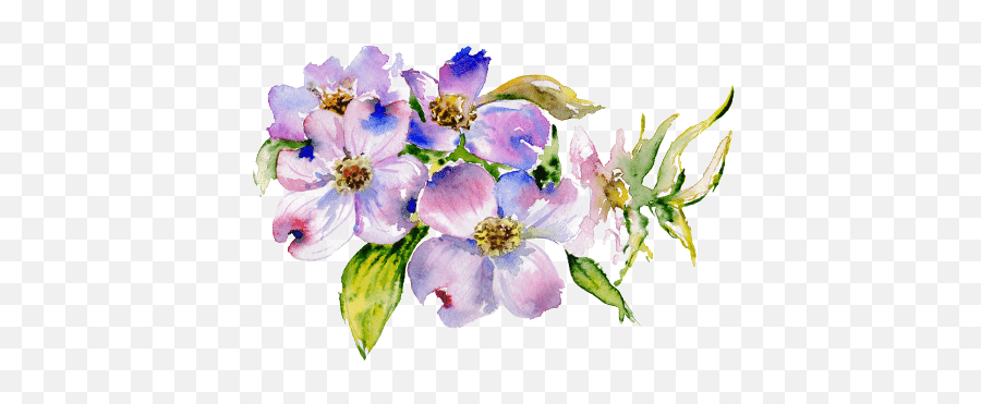 Download Hd I Have Tried To Develop A Program That Has - California Wild Rose Png,Dogwood Png
