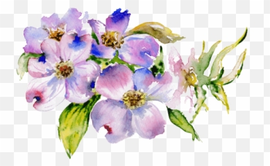 Download Hd I Have Tried To Develop A Program That Has - California Wild Rose Png,Dogwood Png