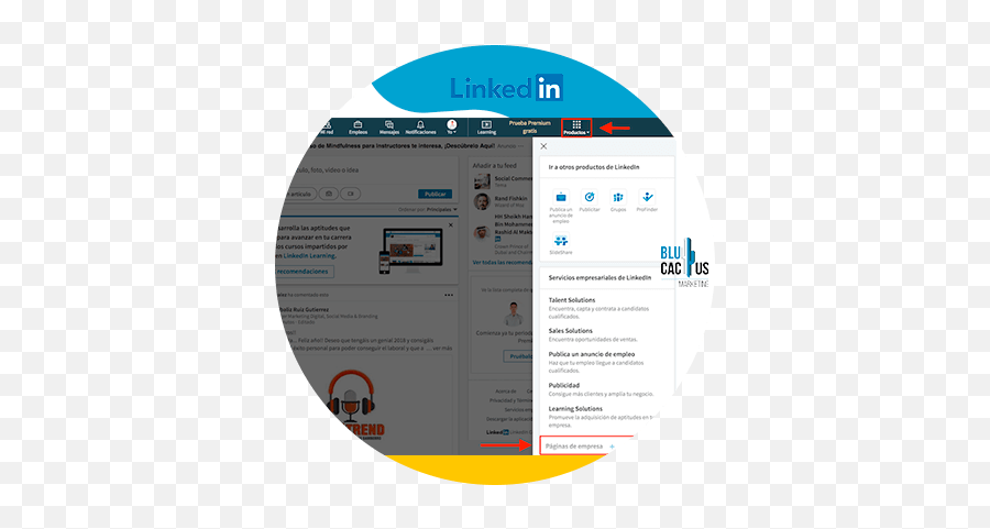 Linkedin For Business 7 Easy Steps To Quickly Become Successful - Screenshot Png,Linked Logo