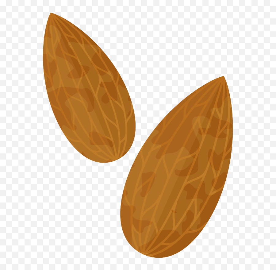 Almond Png Clipart Image - Transparent Background Almonds Animated,Almond Transparent