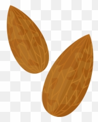 Almond Png Clipart Image - Transparent Background Almonds Animated,Almond Transparent