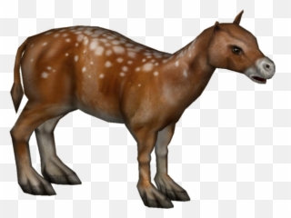 Eohippus - Eohippus Png,Mustang Horse Png