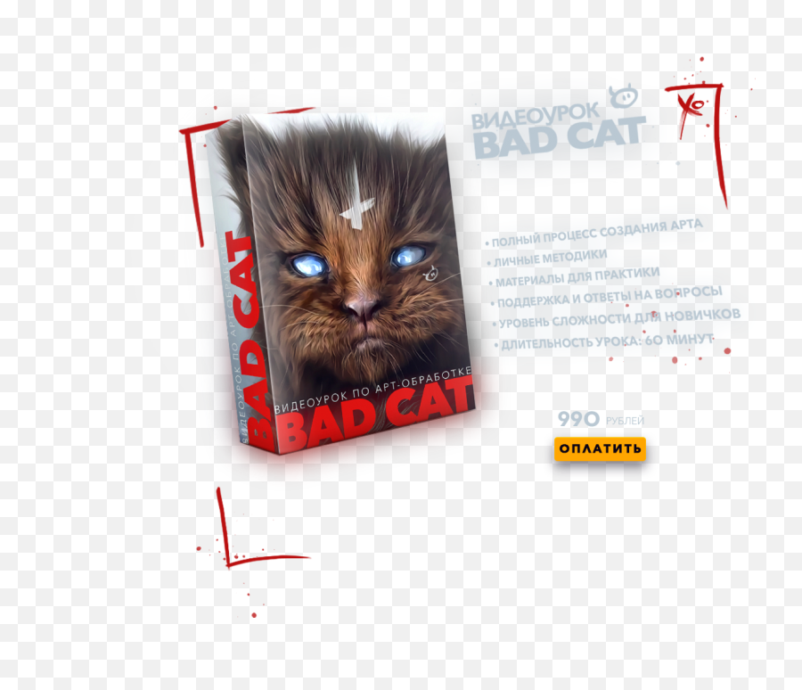 Bad Cat - Domestic Cat Png,Cat Png Image