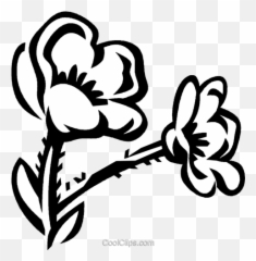 Buttercup Royalty Free Vector Clip Art - Buttercup Flower Clipart Png,Buttercup Png