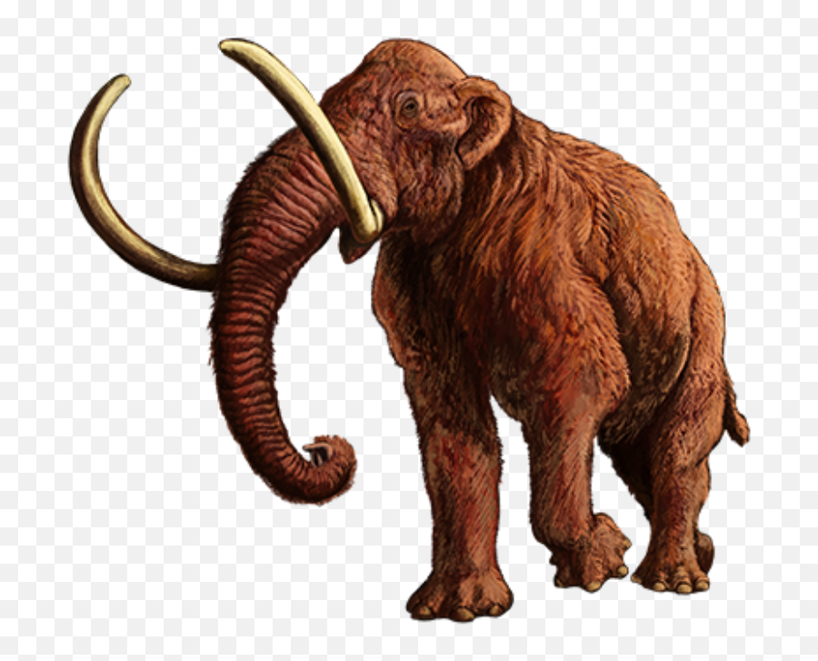202003 Woolly Mammoth - Woolly Mammoth Png,Mammoth Png