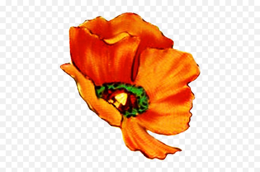 Digital Scrapbooking Flowers - Petal Flower Single Clipart Png,Poppies Png