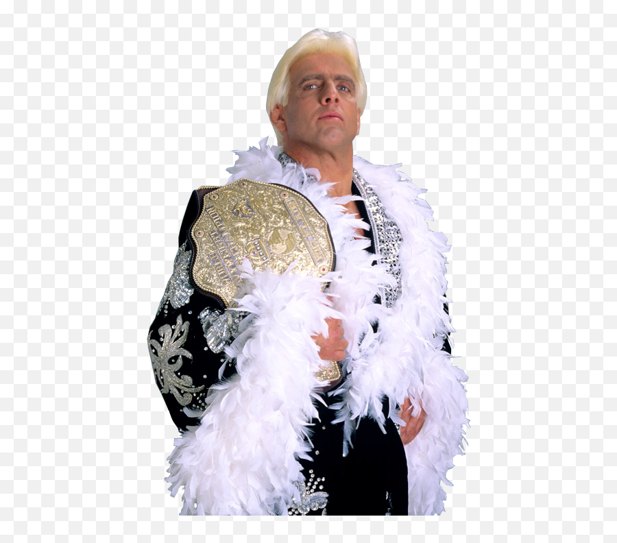 Download Free Png Ric Flair - Ric Flair In Robe,Flair Png