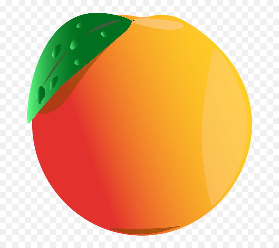 Orange Fruit Drawing - Free Image On Pixabay Rangpur Png,Digital Art Icon