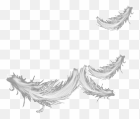 Peggy Starr - The Official Website u2014 Are You As Nervous I Am Feather Cartoon Gif Transparent png