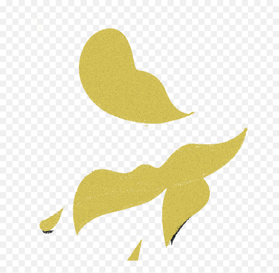 Opinion Coming Out In A Pandemic U0027we Really Donu0027t Have - Decorative Png,Golden Snitch Icon