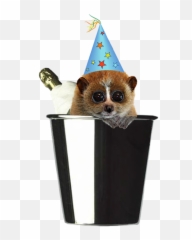 Download Hd New Year Party Hat Png