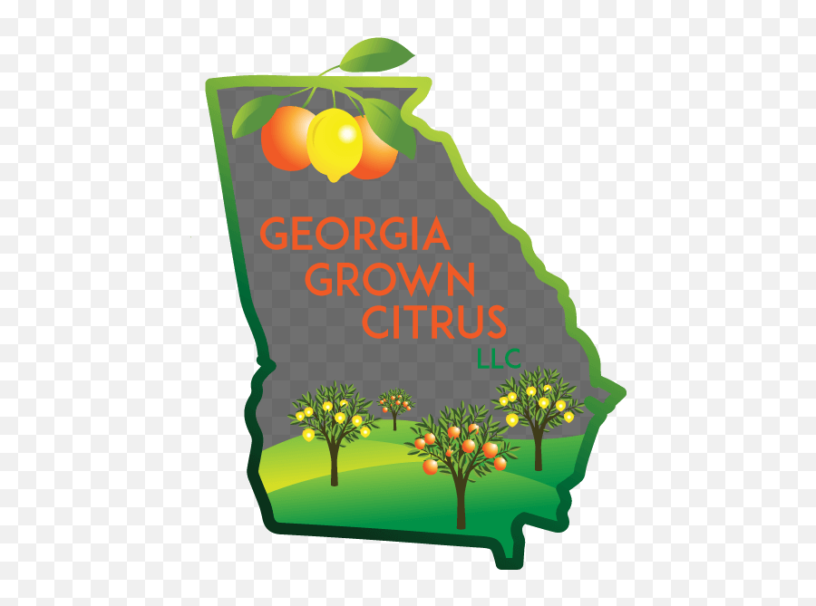 Home - Georgia Grown Citrus Clip Art Png,Black Tree Logo