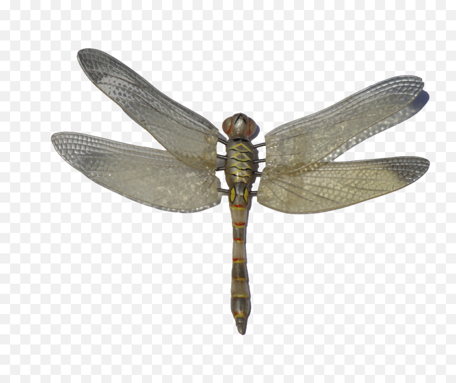 Dragonfly Png Image - Transparent Background Dragonfly Wings Transparent,Dragonfly Png