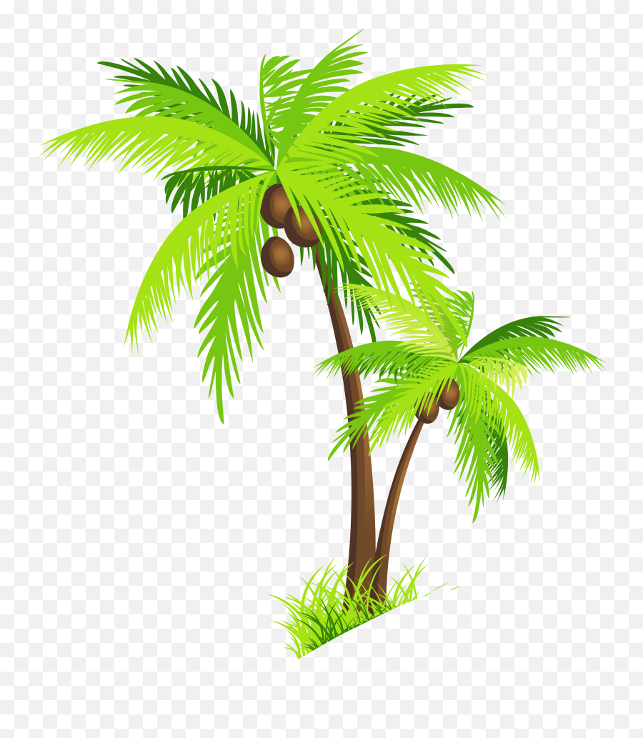 Palm Tree Coconut Clipart Free Images - Transparent Background Coconut Tree Clipart Png,Coconut Png