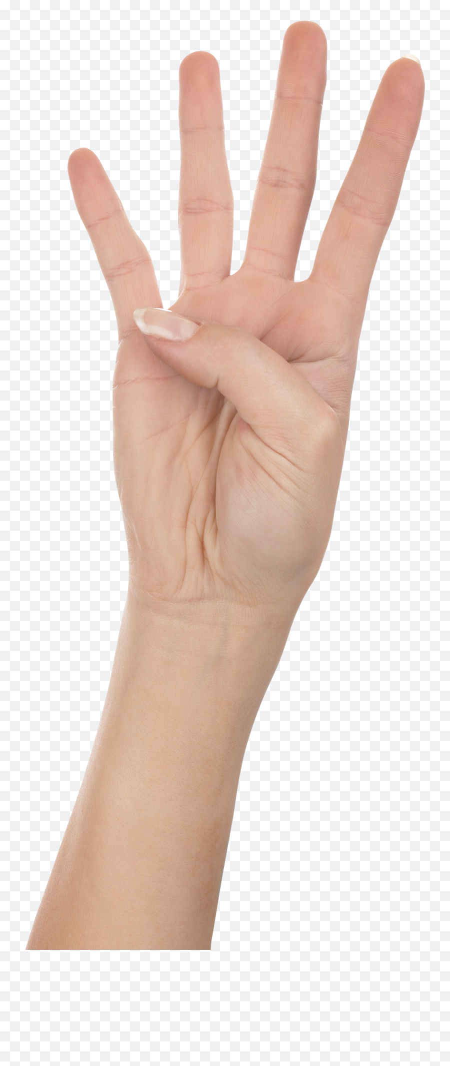 Hands Png Picture - Four Finger Png,Hand Png Clipart