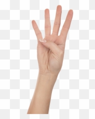 Hands Png Picture - Four Finger