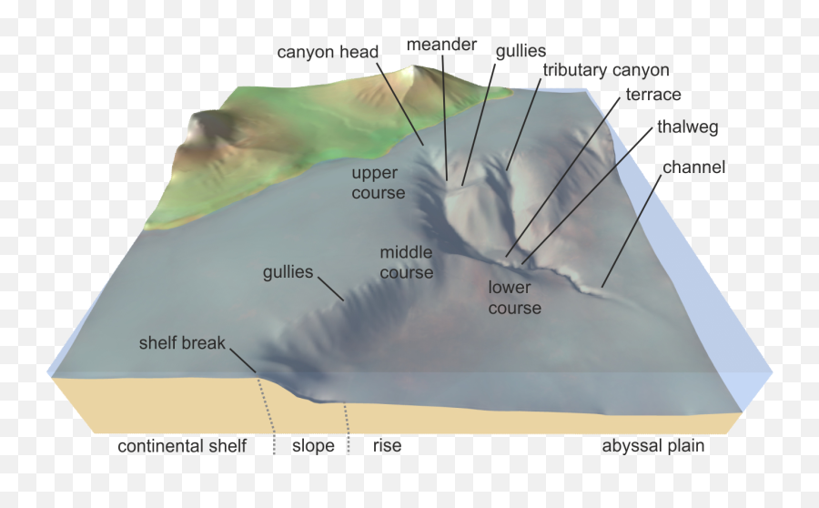 Filesubmarine Canyonpng - Wikimedia Commons Amazon Canyon Submarine Canyon,Submarine Png