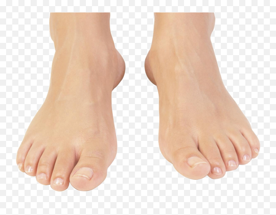 Picture - Pain In Ankle On Top Of Foot Png,Feet Transparent
