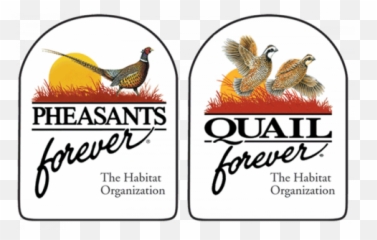 Pheasants Forever Inc And Quail Wildlife - Pheasants Forever Quail Forever Logo Png,Quail Png