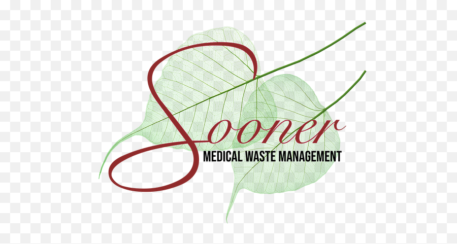 Medical Marijuana Waste Soonermedicalwaste - Health And Safety Png,Marijuana Leaf Png