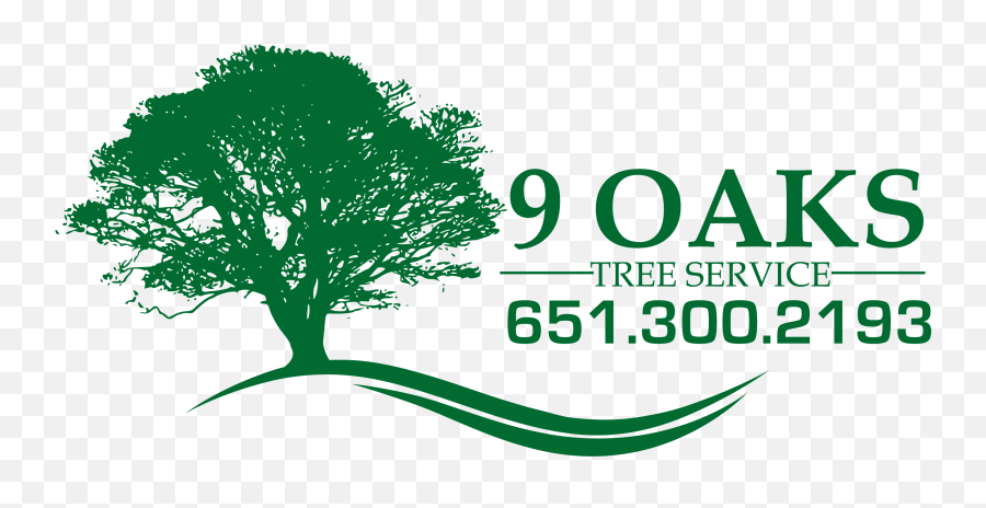 Download Tree Service Woodbury Mn - Green Oak Tree Transparent Background Oak Tree Transparent Png,Oak Tree Silhouette Png