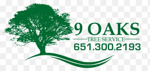 Download Tree Service Woodbury Mn - Green Oak Transparent Background png