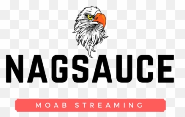 Youtube Logo Freelancer - Accipitriformes Png,Youtube Logo Pic