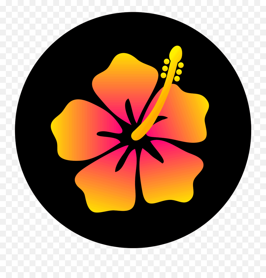 Download Colorful Hibiscus Flower Design - Hawaiian Flowers Hibiscus Flower Design Png,Hibiscus Flower Png