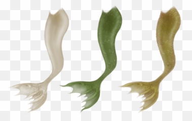 Mermaid Tail Clipart Tale - png