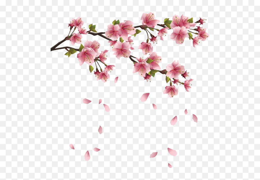 Spring Flowers Branches Transparent Png - Spring Png,Spring Flowers Png