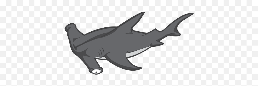 Printed Vinyl Hammerhead Shark Stickers Factory - Hammerhead Png,Hammerhead Shark Png