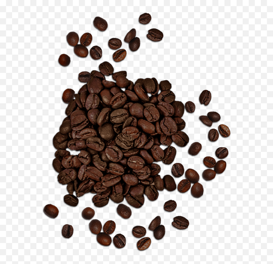 Coffee Beans Top View Png - Clip Art Library Coffee Beans Top Png,Beans Png