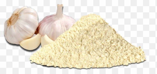 Garlic Powder Png U0026 Free Powderpng Transparent - Transparent Garlic Powder Png,Garlic Png