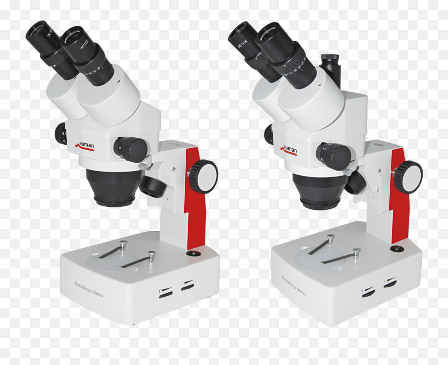 Stereo Microscopes - Human Diagnostics Worldwide Binocular Microscope Clipart Png,Microscope Png