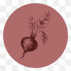 Balance Yoga Center Studio In Redding Ca - For Women png