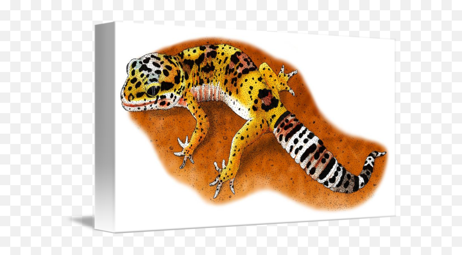 Leopard Gecko - Leopard Gecko Illustration Png,Leopard Gecko Png