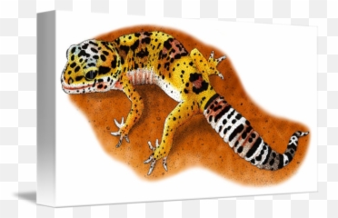 Leopard Gecko - Leopard Gecko Illustration Png,Leopard Gecko Png