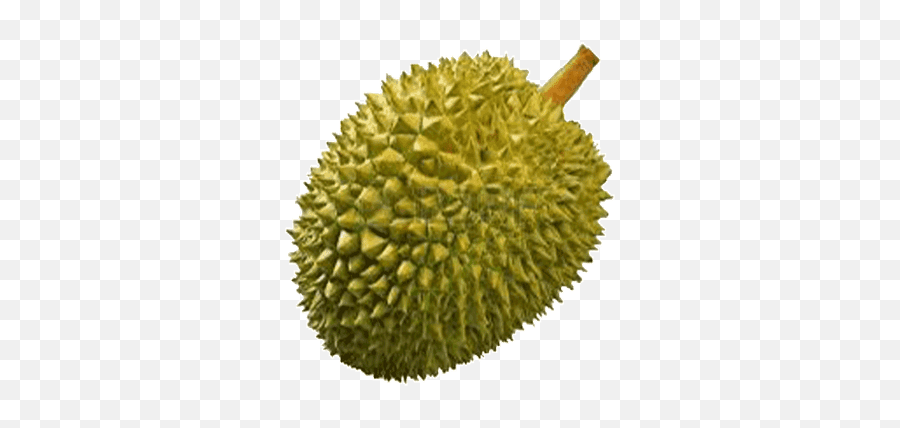 Durian Transparent Png - Durian Png,Durian Png